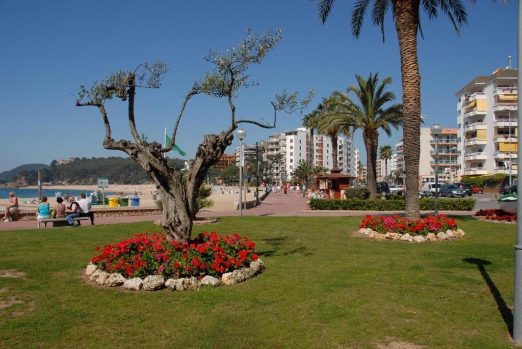 Appartement Antillas Fenals In Lloret de Mar